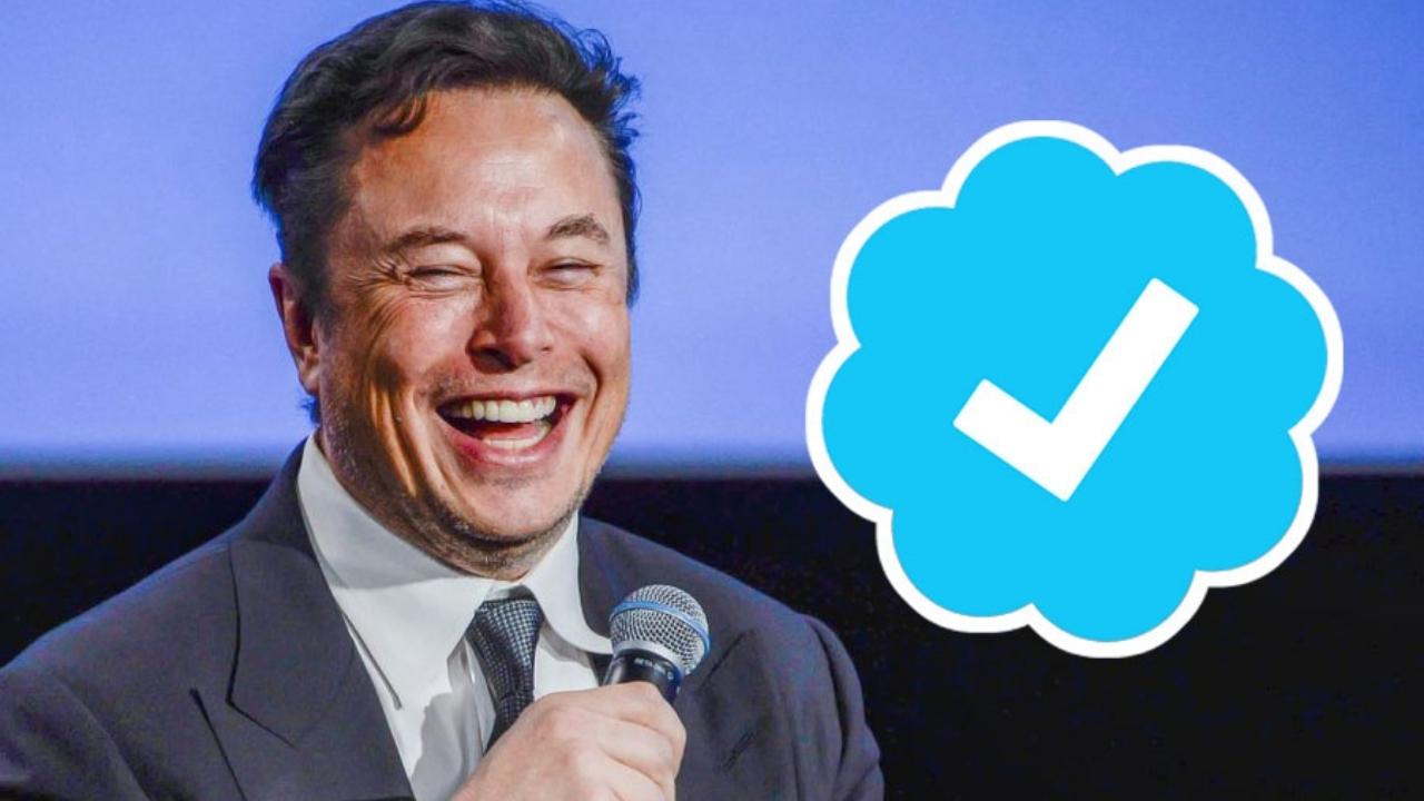 Elon Musk On Blue Tick Twitter