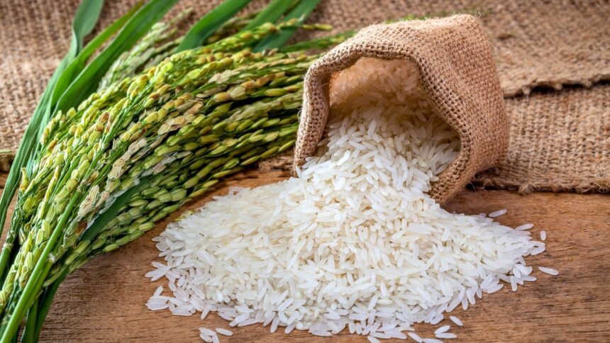 Soar Rice Rice Prices Soar as India Bans Exports; World's Poorest Hit Hardest by ...