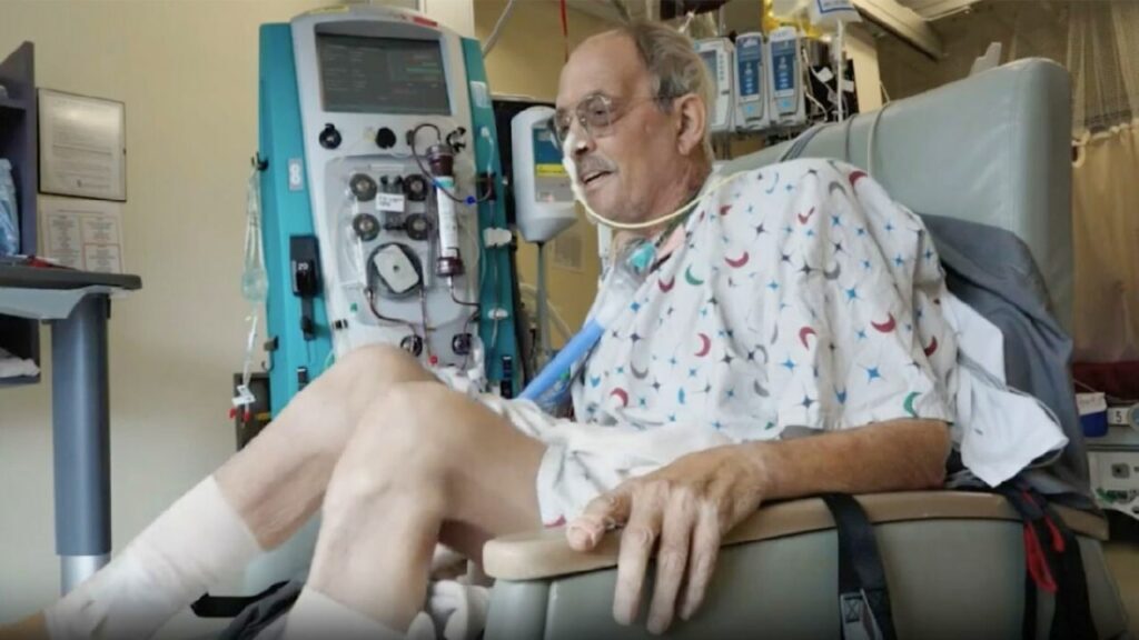 Pig Heart Implanted in Human Patient, Doctors Release Video and Health