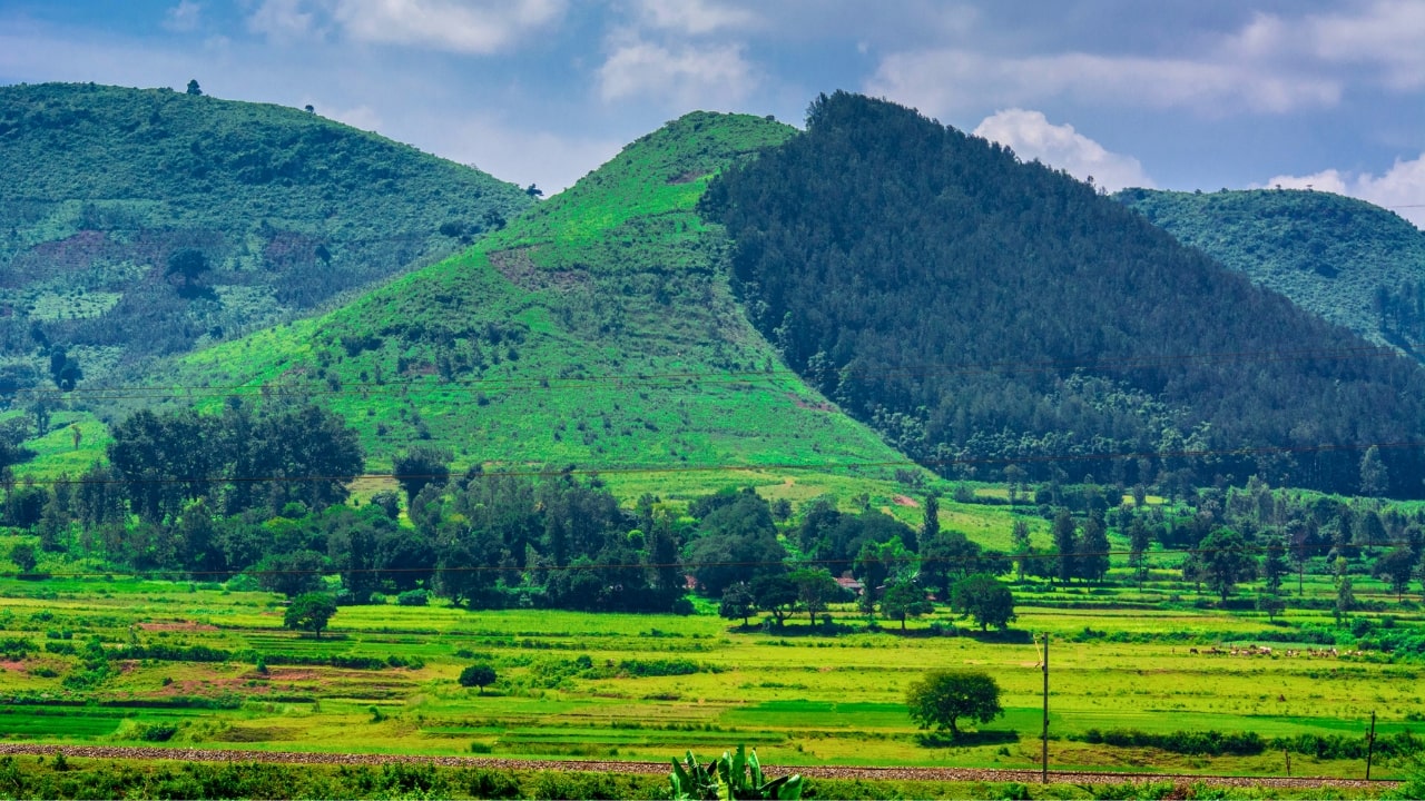 Araku Valley