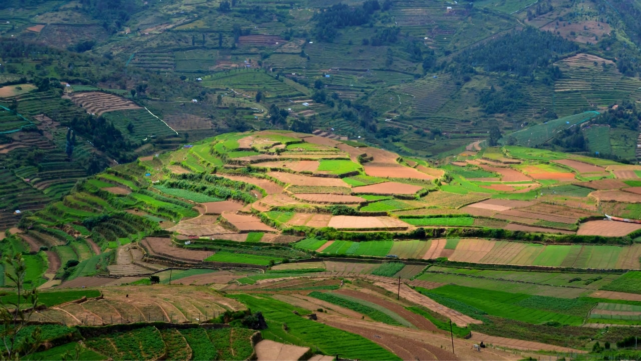 Kodaikanal
