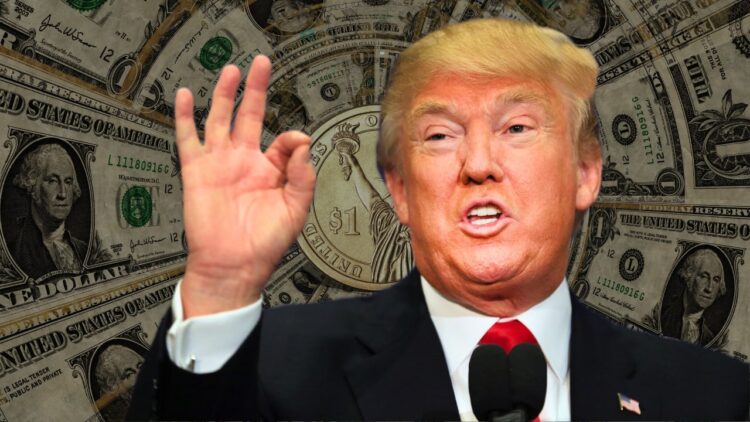 Donald Trump Earning