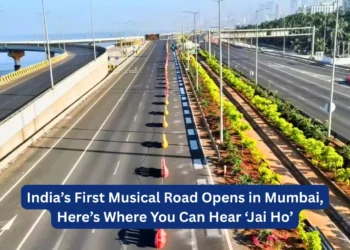 Coastal Road Musical Road