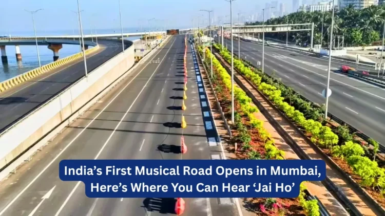 Coastal Road Musical Road